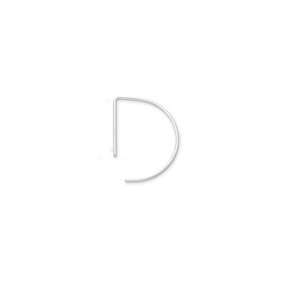 Hook Earrings