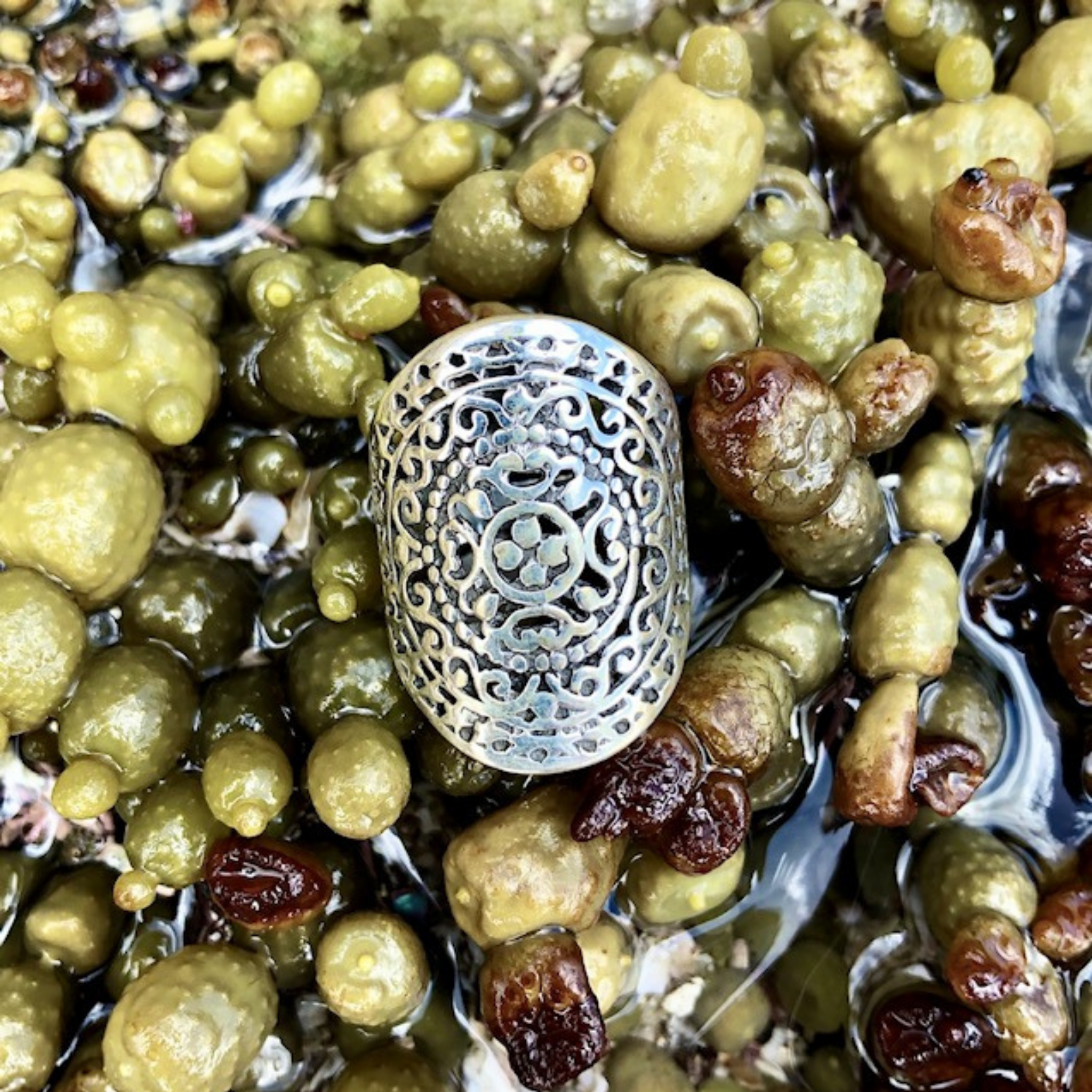 Mandala Ring